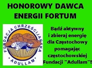 Honorowy Dawca Energii Fortum 2017